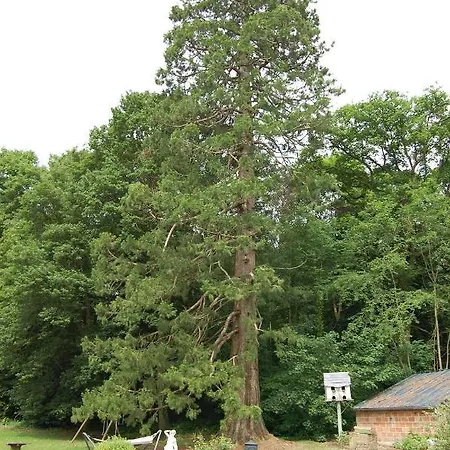 Chateau De Broyes (Oise)