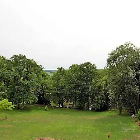 فندق مبيت وإفطار Chateau De Broyes (Oise)