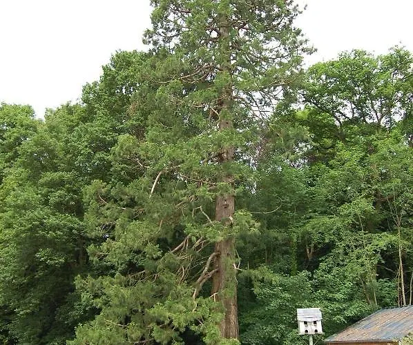 Château De Broyes (Oise)